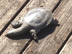 -苏州河梦清园环保主题公园