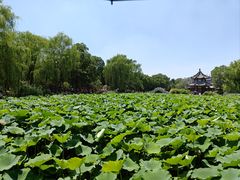 -莲池书院博物馆