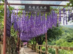 -四会奇石河风景区