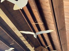 -北海金海湾红树林生态旅游区