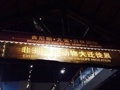 山东博物馆新馆-山东博物馆