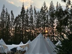 -前小桔亲子创意农场·草莓采摘·露营烧烤