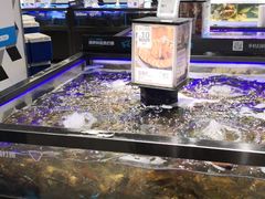水产区-盒马鲜生(岭南新世界店)