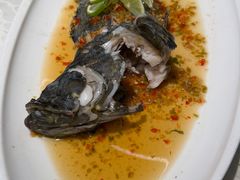 -珍宝海鲜JUMBO Seafood(ifc店)