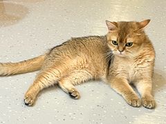 -小小班私人影院·猫咖(万达茂广场店)