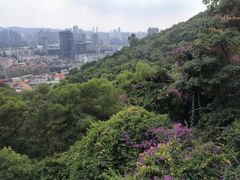 -仙岳公园