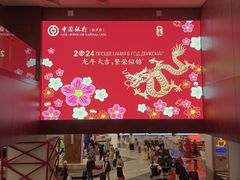 -谢列梅捷沃国际机场