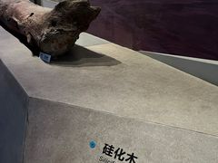 -武汉园博园(武汉自然博物馆)