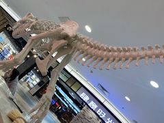 -凯德MALL(望京店)