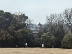 -灵谷景区