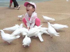 -烟台海昌鲸鲨海洋公园