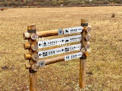 -稻城亚丁景区-冲古草甸