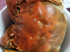 -乡乐园蟹庄·阳澄湖农家乐