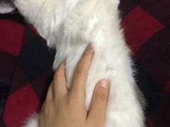 -北京恒爱动物医院(清景园分院)