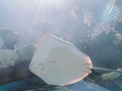 -苏州海洋馆