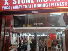 -Stone Motion释动健身