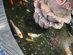 -裕丰源滋补烩面(天赋路店)