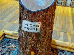-哈乌尔河