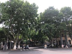 -灵谷景区