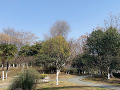 -后襄河公园