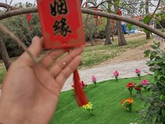 -北京世界公园