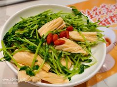 豌豆苗拌鲜腐竹-苏晓玥·江南小吃(深圳北站店)