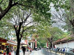 -深圳仙湖植物园