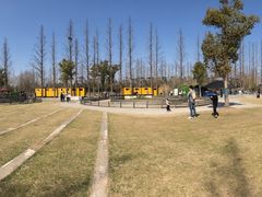 -前小桔亲子创意农场·草莓采摘·露营烧烤