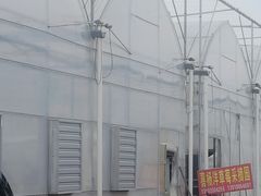 -喜杨洋草莓采摘园