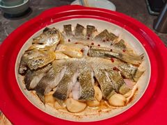 -1937青岛老味道·海肠捞饭·青岛菜(大鲍岛栈桥店)