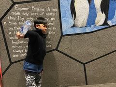 -帝企鹅自助餐厅•儿童岛•真企鹅(长隆企鹅酒店)