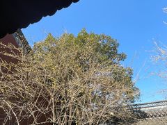 -钱王祠