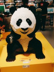 -kidsland(上海环球港店)