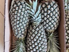 -鲜果屋(海口美兰机场店)