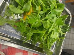 -金鼎雪山牦牛杂火锅(理县总店)