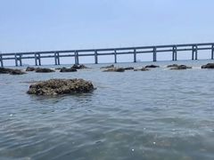 -黑石礁公园