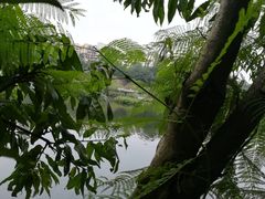 -重庆彩云湖湿地公园