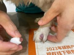 -荔康动物医院(康王北路店)