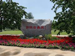 -御林古桑园