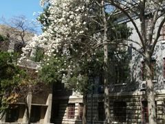 -曲阜师范大学(曲阜校区)