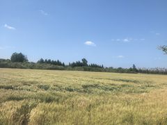 -嘉北郊野公园