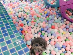 -太阳岛度假酒店