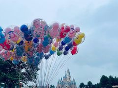 -上海迪士尼度假区