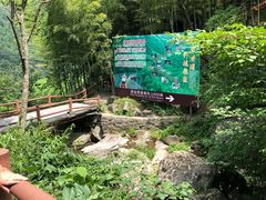 -藏龙百瀑风景区