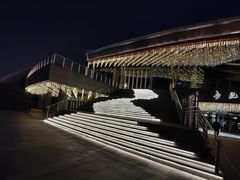 -合肥大剧院