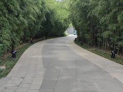 -西安凯悦酒店·湖畔中餐厅