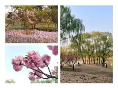 -朝阳公园游乐园