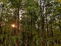 -上海山野camping·户外天幕烧烤·团建拓展营地