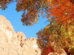 -天山神秘大峡谷
