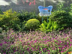 -青青世界